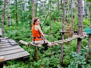  Talles en los árboles y el curso para adultos 